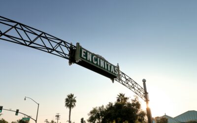 Luxury Living In Encinitas: A Neighborhood Guide